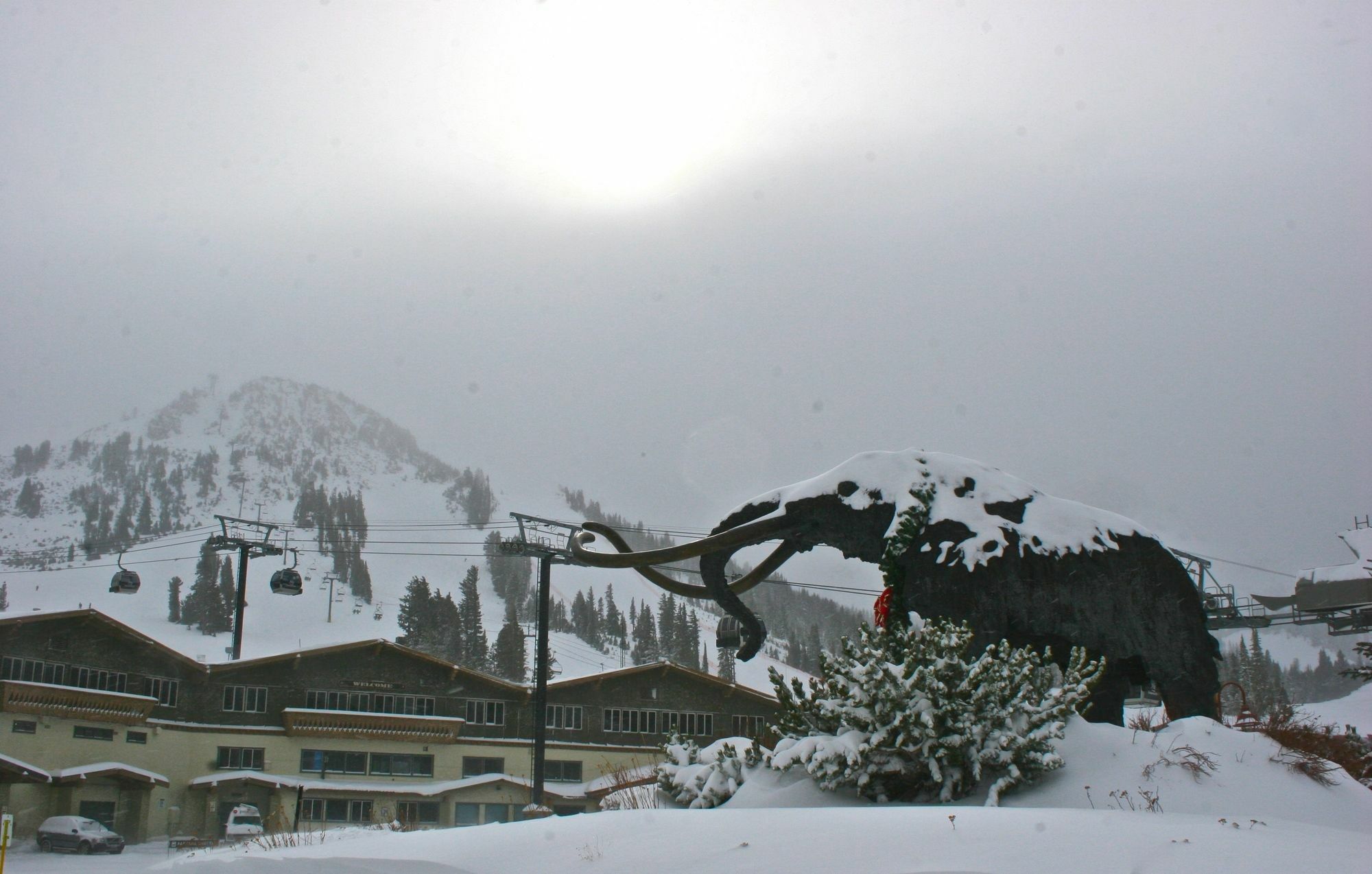 Alpenhof Lodge Маммот Лейкс Экстерьер фото